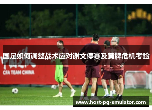 国足如何调整战术应对谢文停赛及黄牌危机考验 国足如何调整战术应对谢文停赛及黄牌危机考验