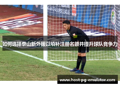 如何选择泰山新外援以填补注册名额并提升球队竞争力