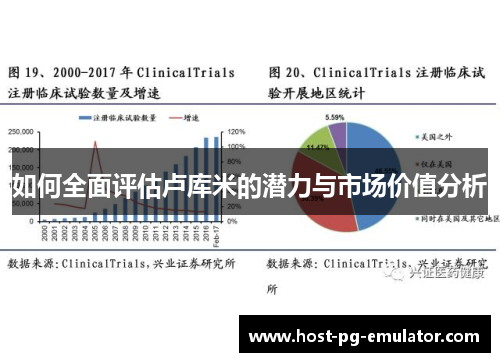 如何全面评估卢库米的潜力与市场价值分析