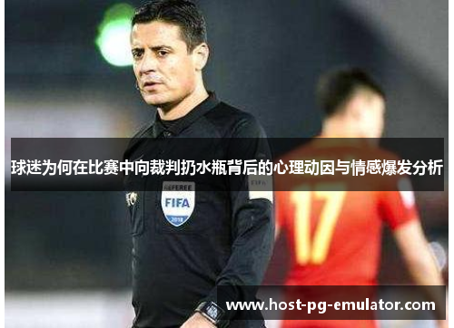 球迷为何在比赛中向裁判扔水瓶背后的心理动因与情感爆发分析 球迷为何在比赛中向裁判扔水瓶背后的心理动因与情感爆发分析
