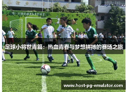 足球小将世青篇：热血青春与梦想拼搏的赛场之旅