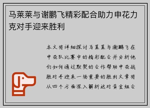 马莱莱与谢鹏飞精彩配合助力申花力克对手迎来胜利 马莱莱与谢鹏飞精彩配合助力申花力克对手迎来胜利