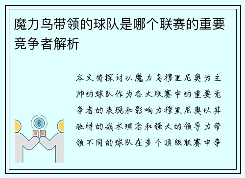 魔力鸟带领的球队是哪个联赛的重要竞争者解析
